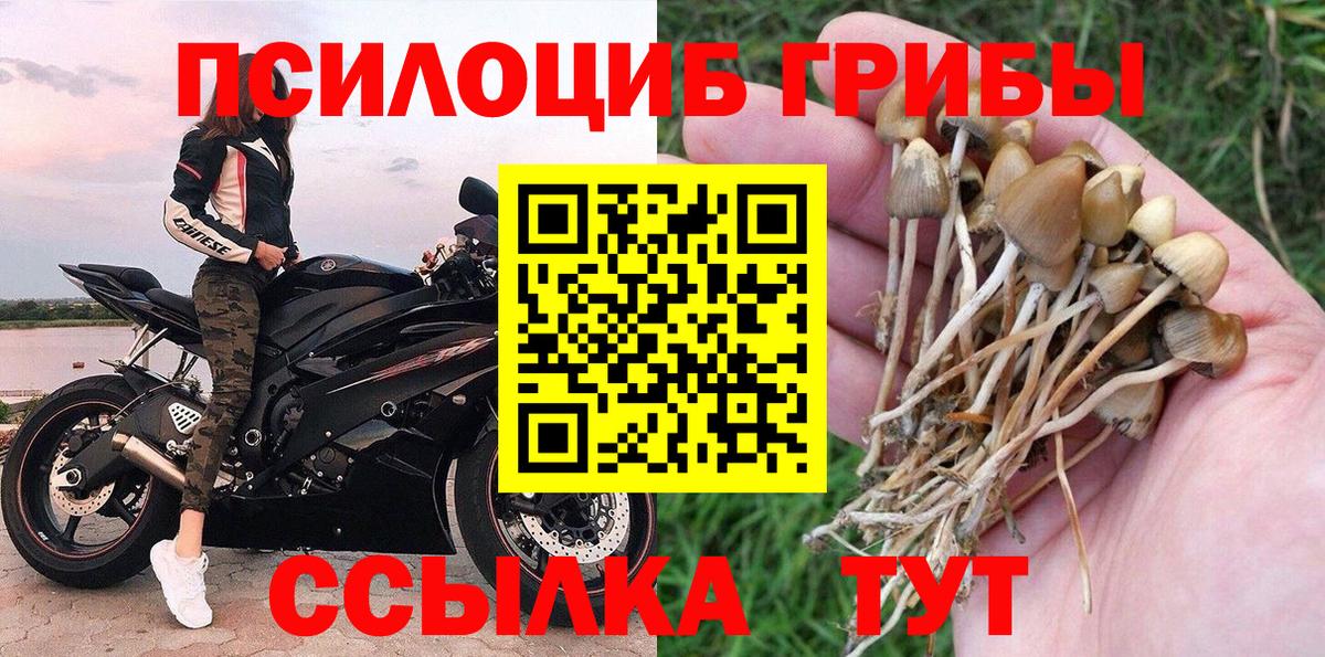Псилоцибиновые грибы мицелий Астрахань