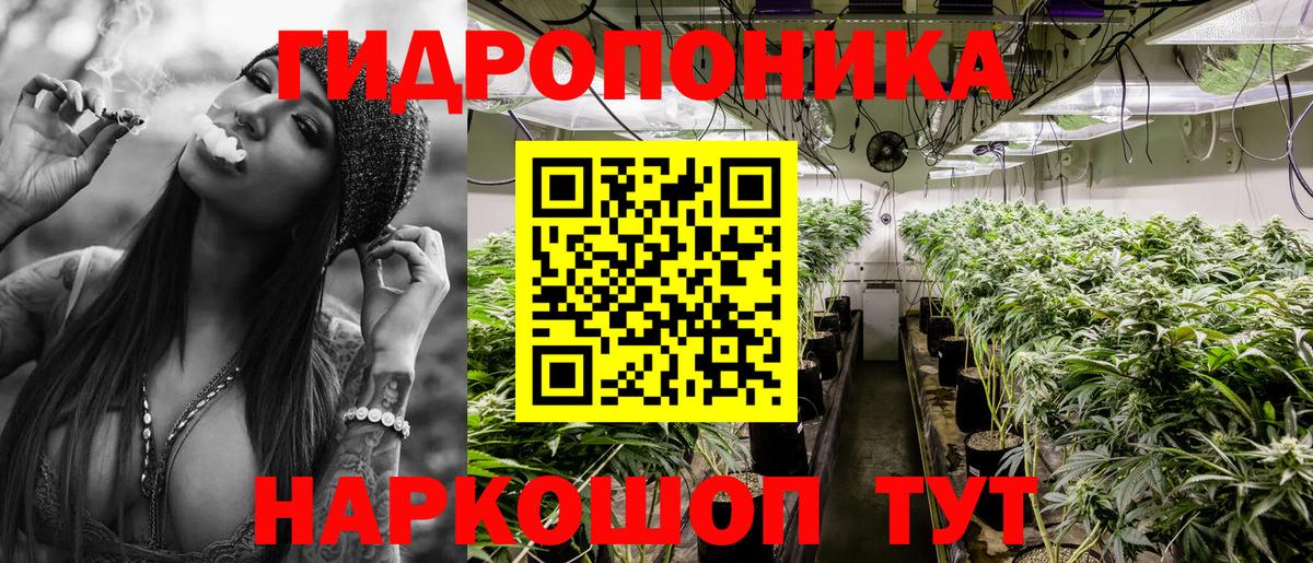 Каннабис планчик Астрахань